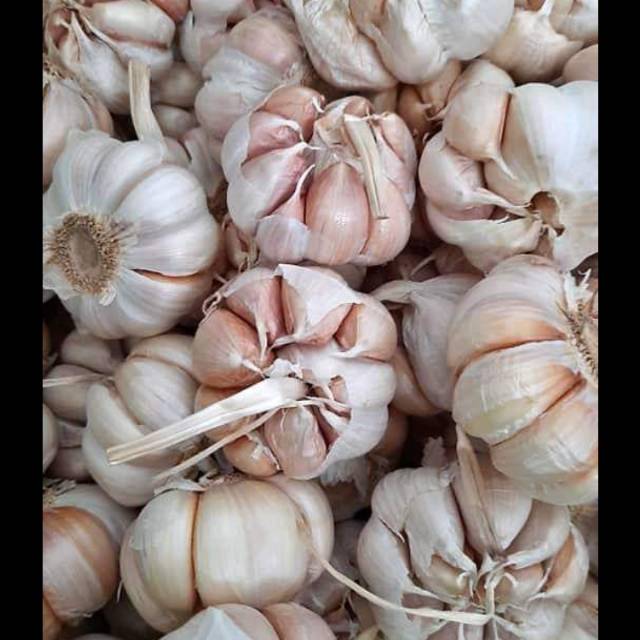 

BAWANG PUTIH SICO per Kg
