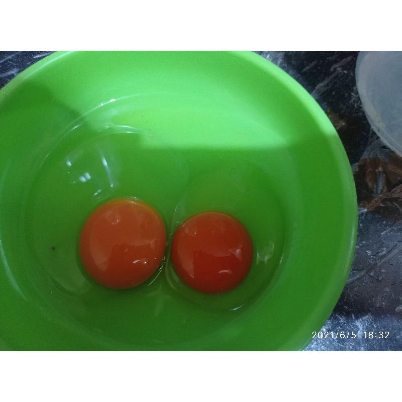 

Telur Ayam Negri Omega 3 / Organik Fresh Per 30 Butir
