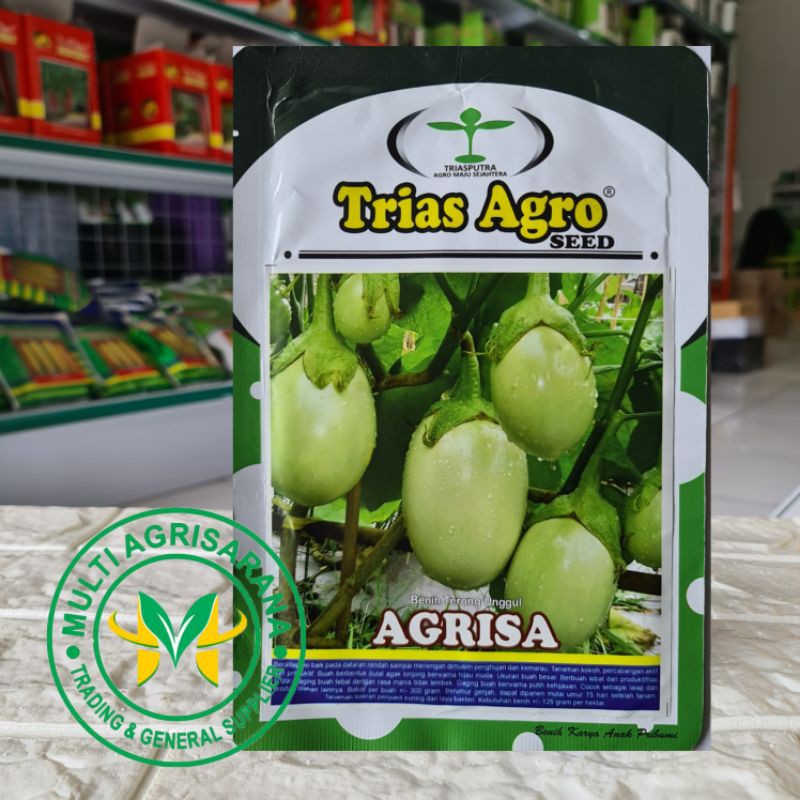 Benih Bibit Terong Hijau Pondoh AGRISA