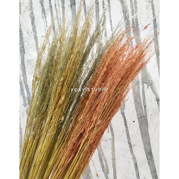 MERANG PADI KERING WARNA / MERANG PADI / BATANG PADI