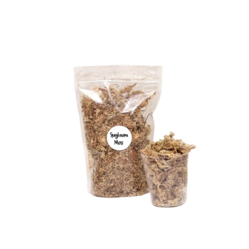 Sphagnum Moss Putih Media Tanam Anggrek Orchidfays +- 60 gr