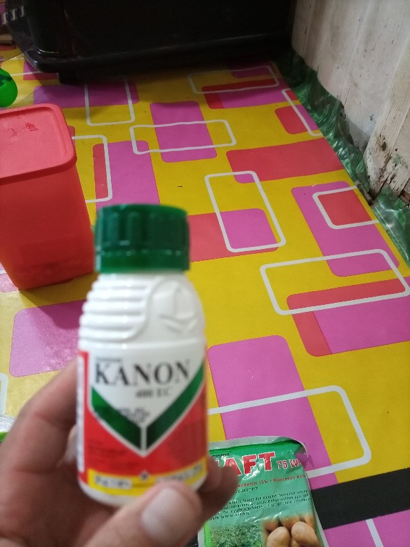 Insektisida Kanon 100 Ml