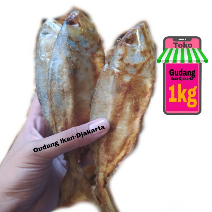 

ikan asin peda merah netto-1kg