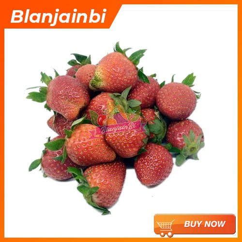 

Strawberry Segar Bandung Area