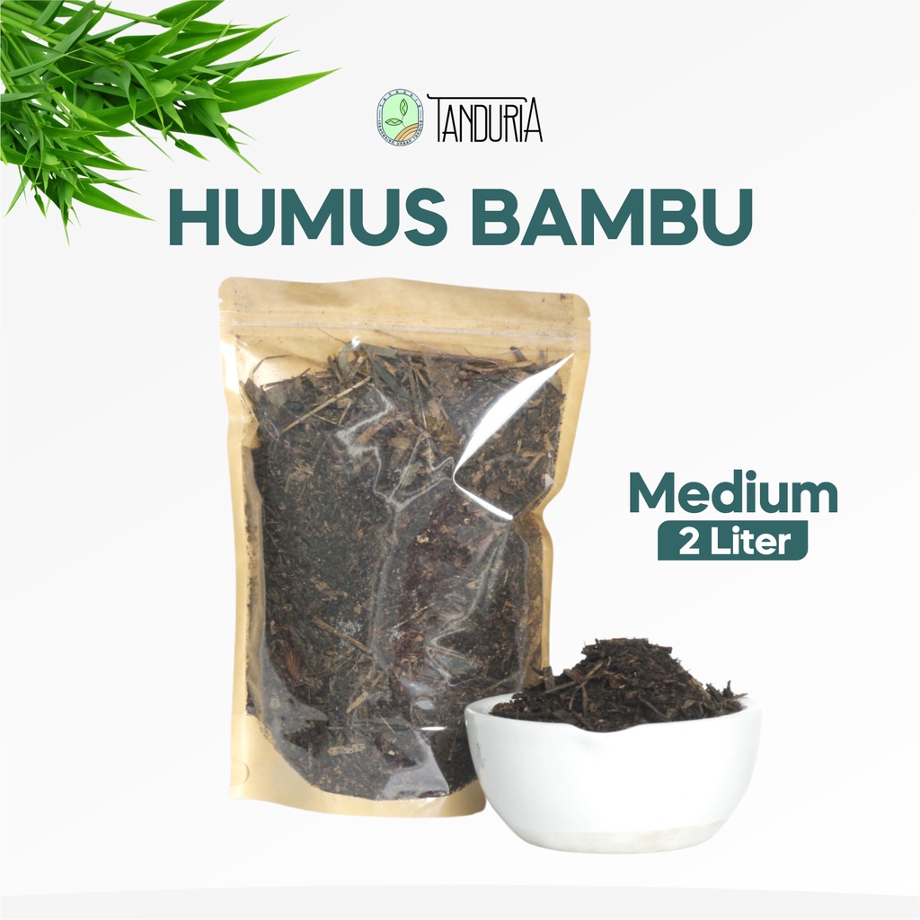 HUMUS BAMBU 2 LT
