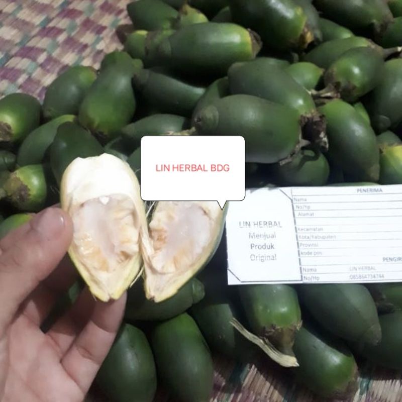 

Buah Pinang Muda Jambe Muda Segar-Petik Order Organik Food 1000 Grm Sudah izin PIRT
