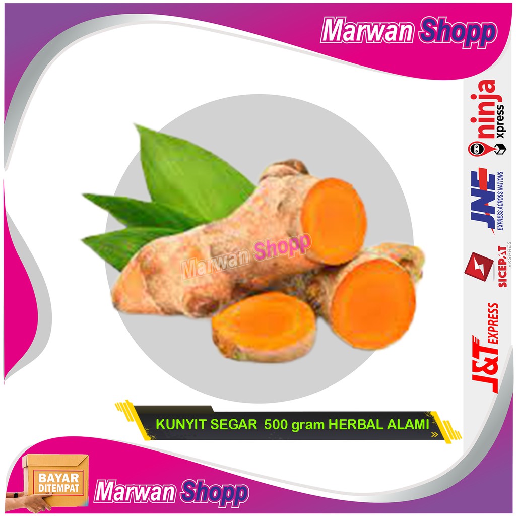 

KUNYIT SEGAR 500 gram HERBAL ALAMI MARWAN SHOPP