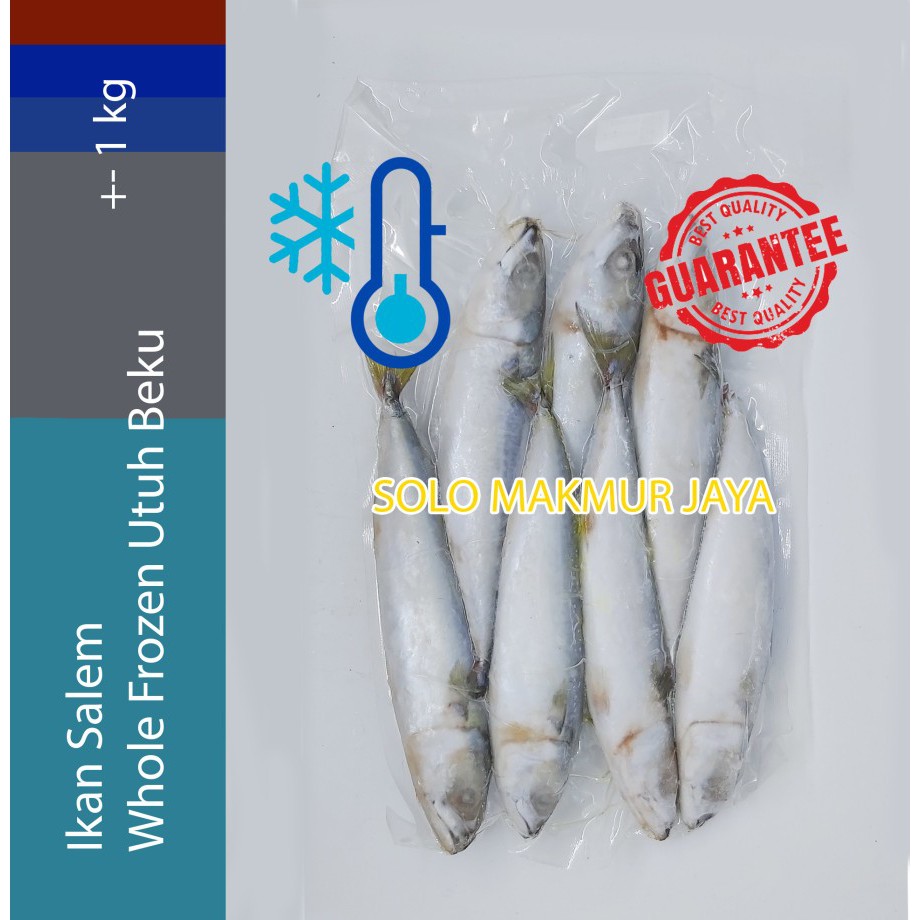 

Ikan Salem Premium Utuh Beku Whole Frozen 1 kg
