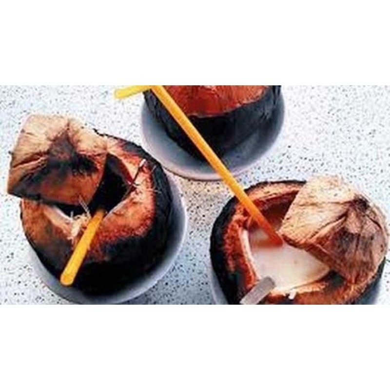 

Kelapa bakar rempah/ original
