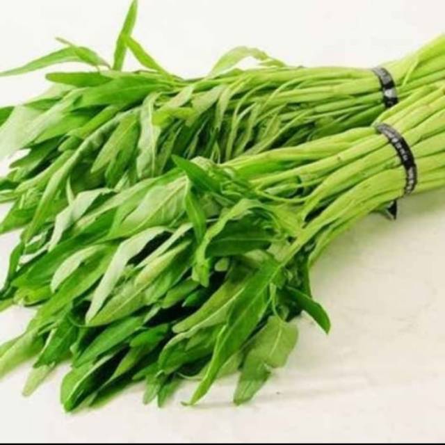 

Kangkung segar