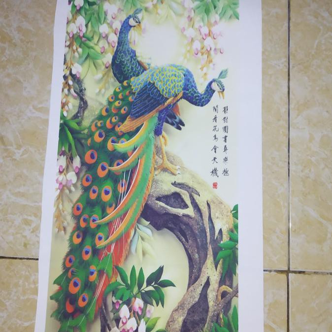 55 Gambar Burung Merak Dan Cendrawasih Gratis Terbaik