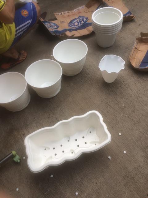 Pot Bunga Akasia Motif Catur 30