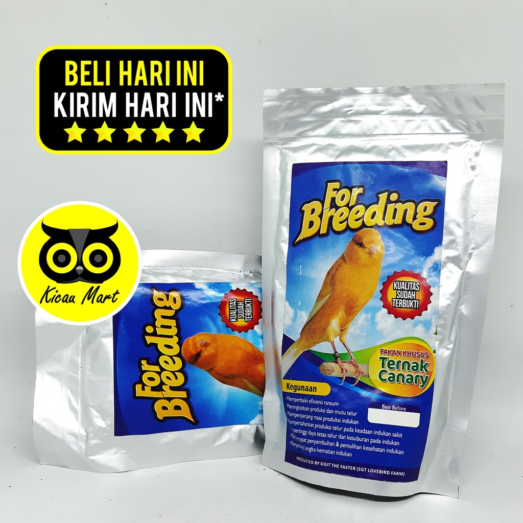 PAKAN MAKANAN KHUSUS TERNAK BREEDING BURUNG KENARI BIJI MILET MILLET FOR BREEDING CANARY FBKNRPK