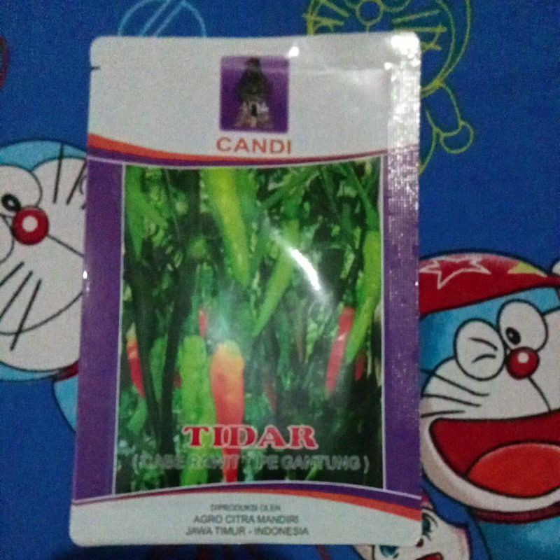 TIDAR ( Cabe rawit tipe gantung )