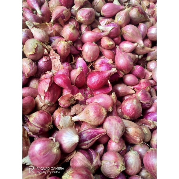 

BAWANG MERAH 250 GRAM