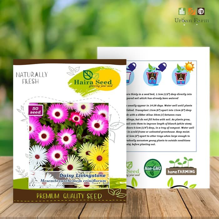 

Termurah Benih-Bibit Bunga Daisy Livingstone Ice Plant Mix (Haira Seed) Terlaris