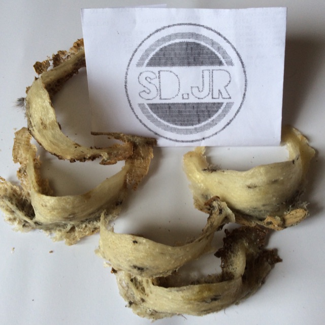 sarang walet 1 g eceran premium mangkok sudut patahan