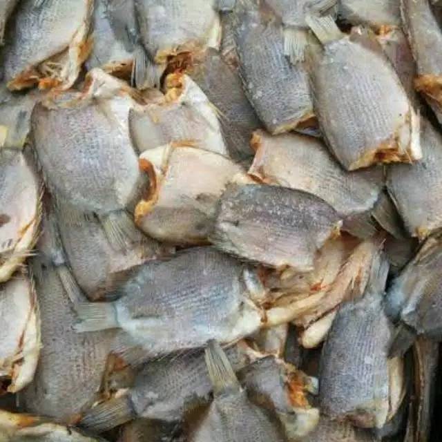 

Ikan Asin Sepat Tembakang 500gr