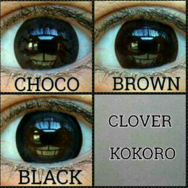 SALE!! CLOVER BROWN EXP. 2023/03