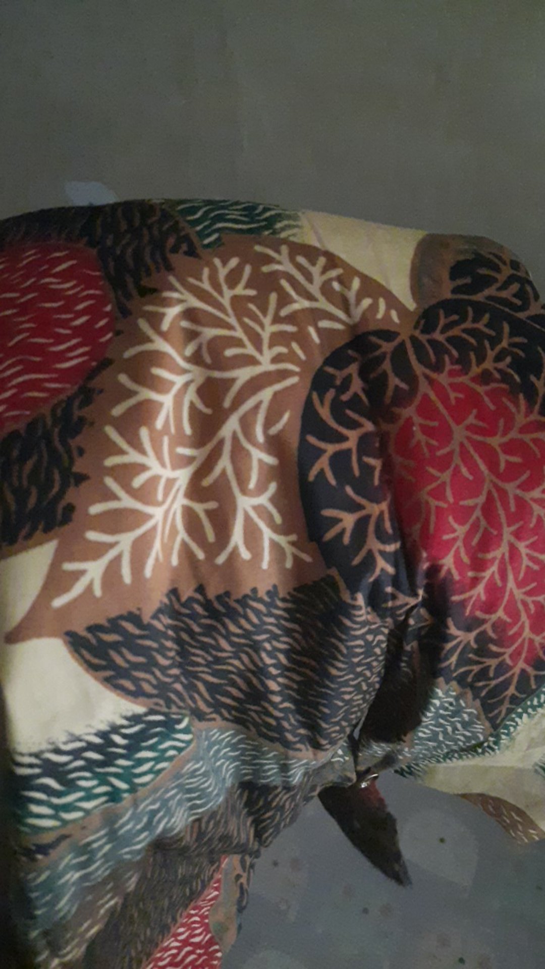 Awena - Busan Blouse Batik Wanita
