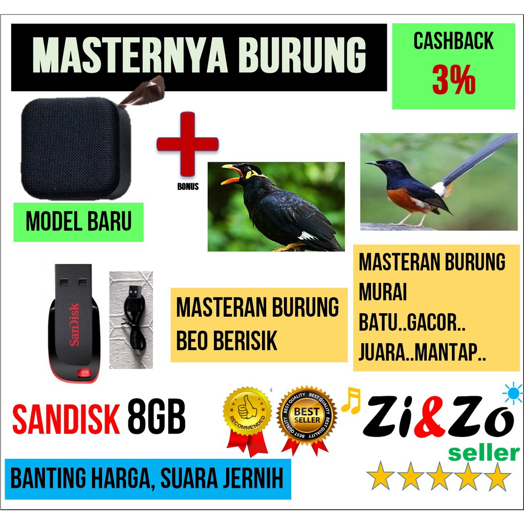Masteran Murai Batu dan Latih Bicara Burung Beo