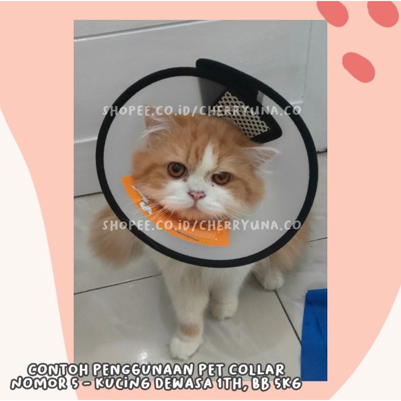 ELIZABETH COLLAR / PET CONE PROTECTION ANTI JILAT UNTUK ANJING DAN KUCING