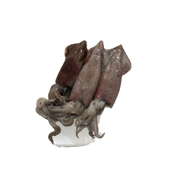 

CUMI SEGAR 500gram / 1kg