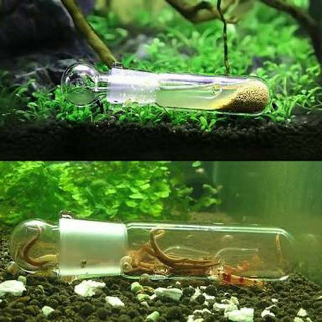 Jual Planaria Leech Worm Trap Perangkap Penangkap Cacing Parasit Planaria Indonesia Shopee Indonesia