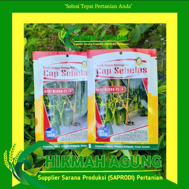 

Benih Timun/Baby Mikro-F1/Cap Sebelas