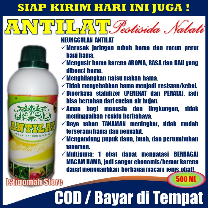 ANTILAT 500ml Obat Hama Pembasmi Walang Sangit/Kungkang Pada Semua Tanaman - Obat Hama Walang Sangit Pada Padi Paling Ampuh - Obat Pembasmi Hama Walang Sangit Pada Tanaman Padi - Racun Hama Walang Sangit Kungkang Paling Manjur TERLARIS