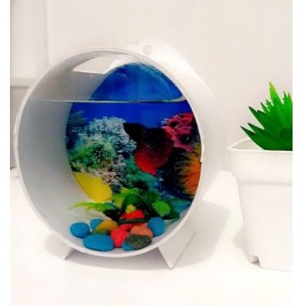 aquarium mini bulat/gantung ataw duduk