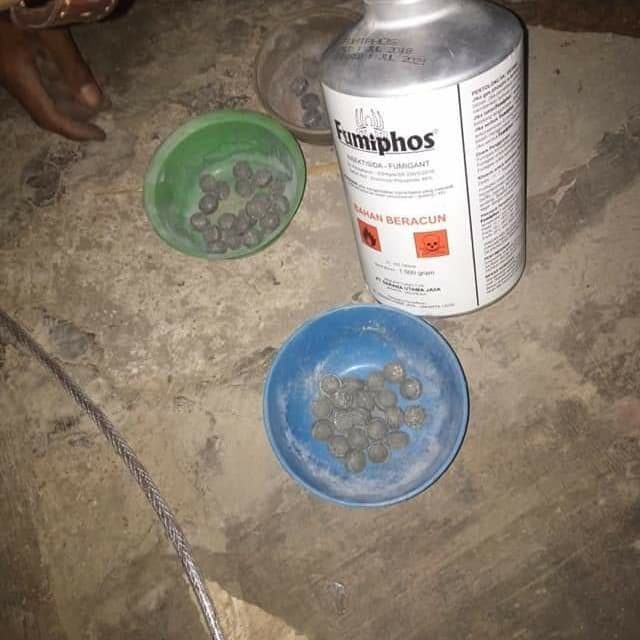 BURUAN BELI - INSEKTISIDA OBAT KUTU/HAMA FUMIPHOS