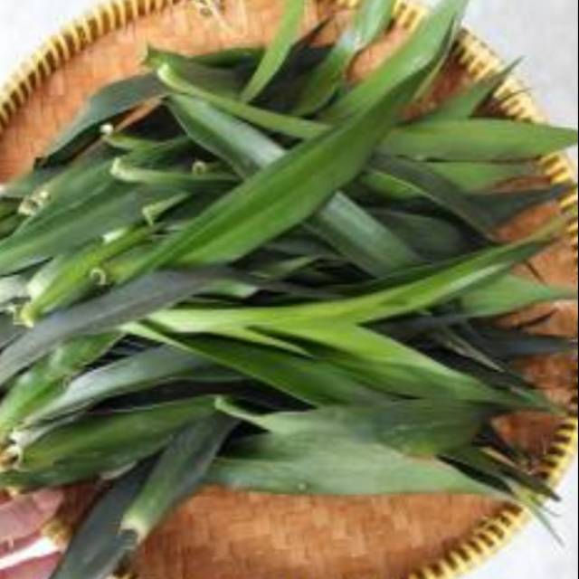 

Daun suji pandan, pewarna hijau alami , petik pohon. #sayurmdn