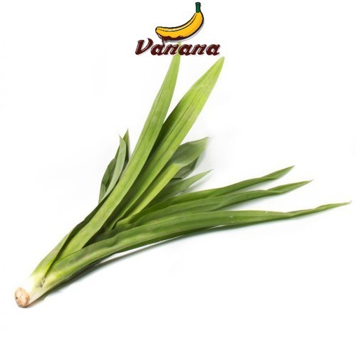 

daun pandan 1ikat