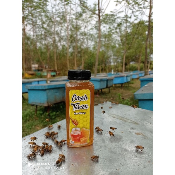 Madu murni raw honey Omah tawon 300 gram