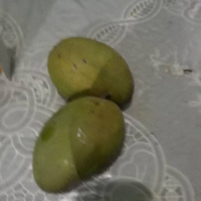 

Mangga