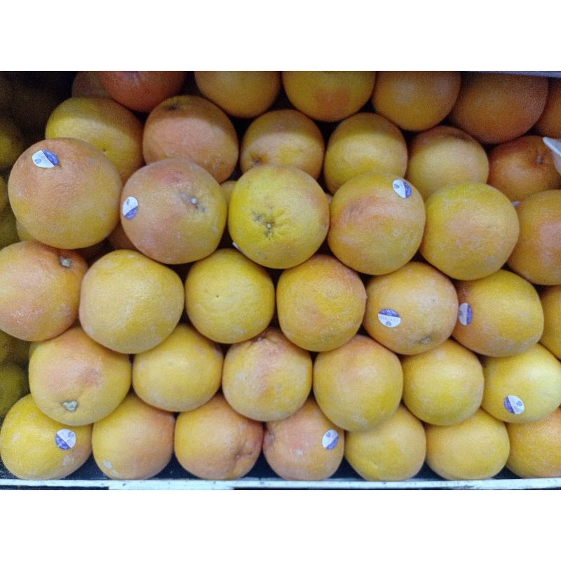 

Jeruk Grapefruit Australia 1 kg