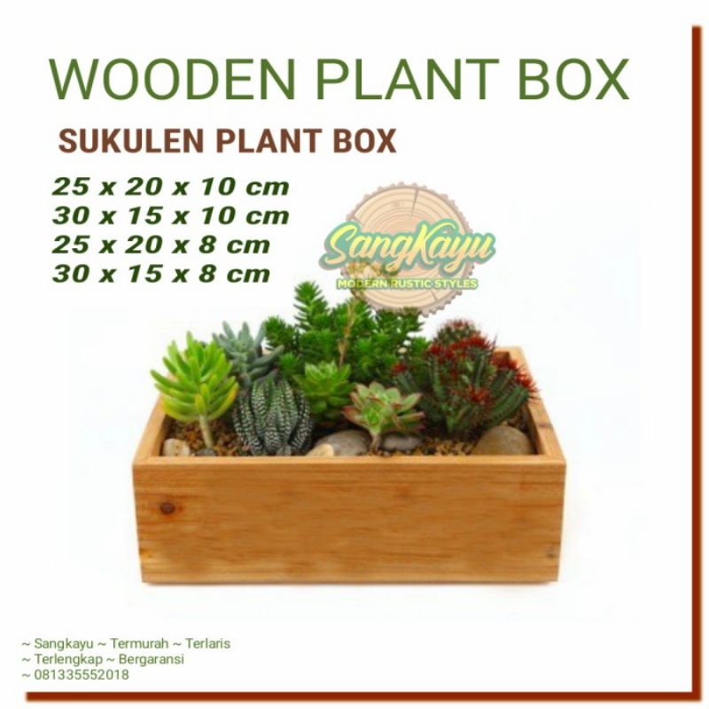 Plant box kayu tanaman sukulen pot kaktus kayu pot kayu tanaman hias