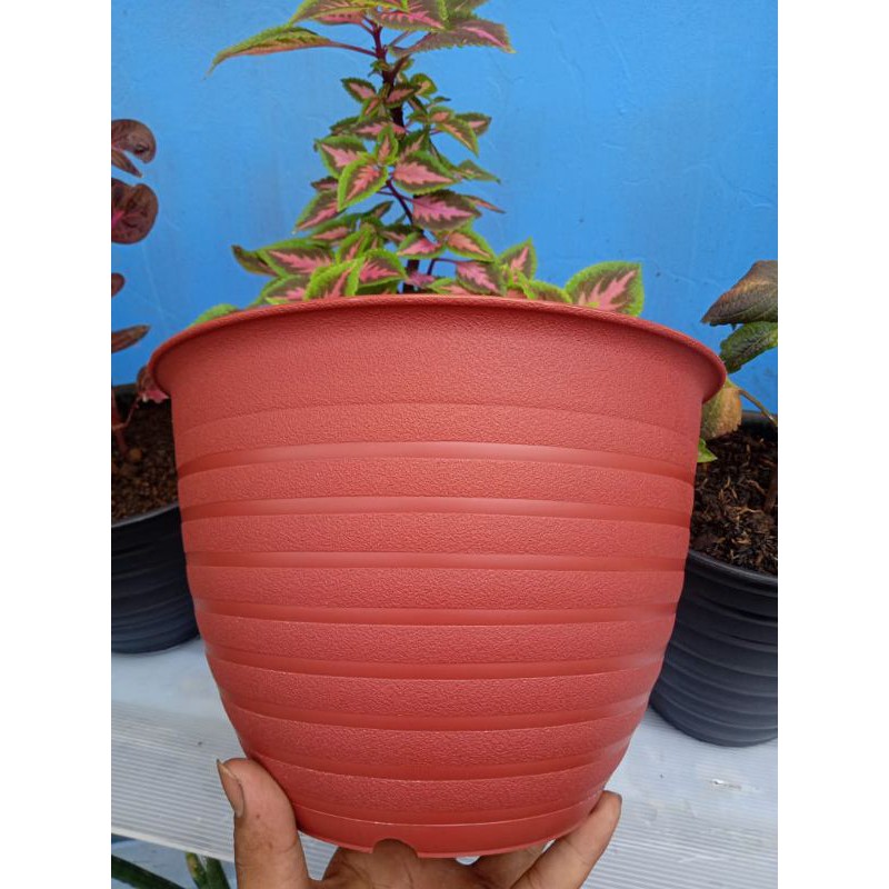 POT TAWON 24 bahan tebal SUPER TAWON 24