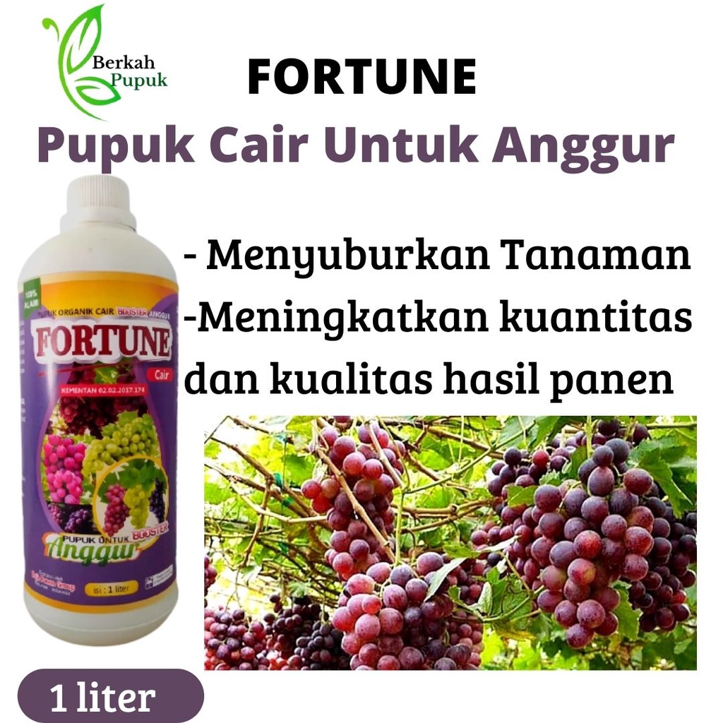 Pupuk Cair Pemecah Tunas Tanaman Buah Anggur, Pupuk Booster Organik Penyubur Perangsang Akar Anggur