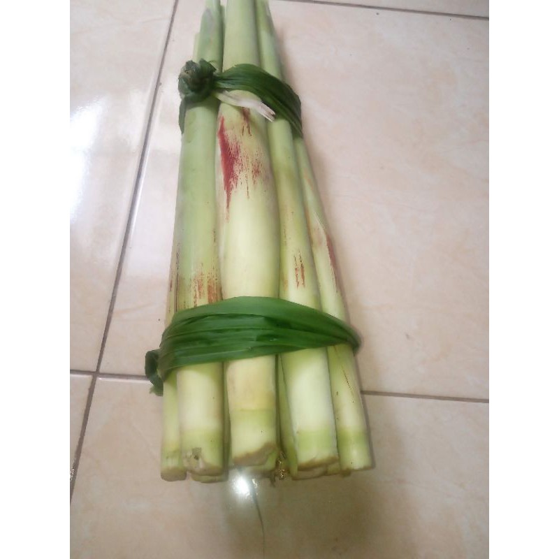 

terubuk atau turubuk 500gr