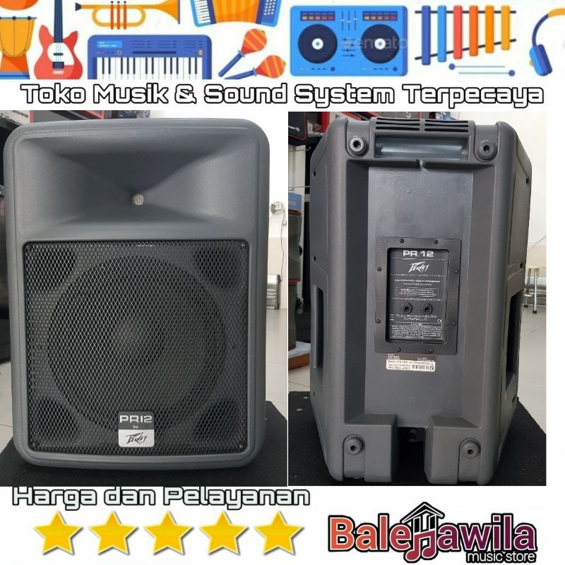 ☆新春福袋2021☆ Peavey PR-12 Speaker U.S.A製 savingssafari.com