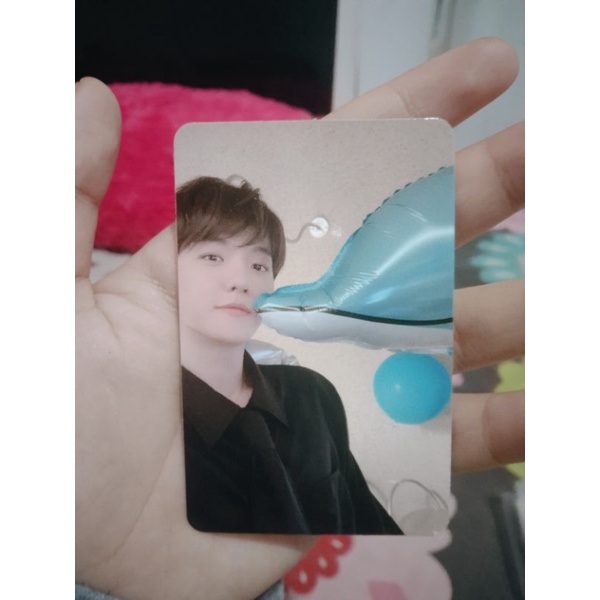 PC Bambi Baekhyun Dolphin