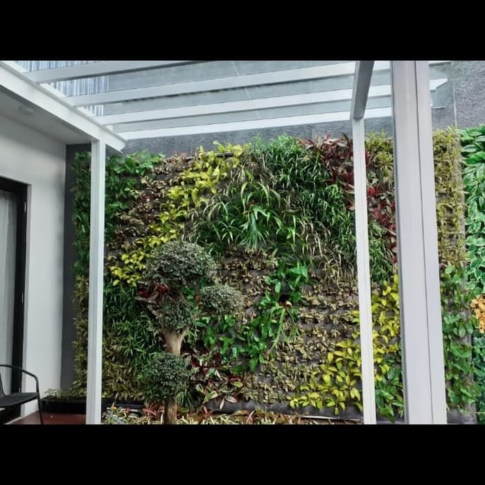 Tanaman hias vertikal garden taman - vertical taman