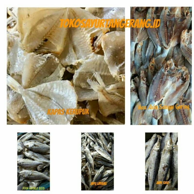 

Ikan Asin Kipas,Kepala Batu,Japu Layang,Japu Siro, Dan Sangge.