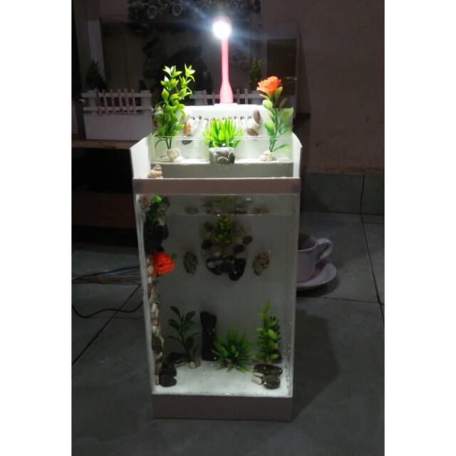 Aquarium mini akrilik dan pipa pvc