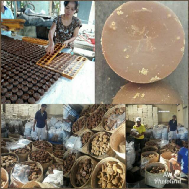 

Gula Kelapa Asli Banyuwangi