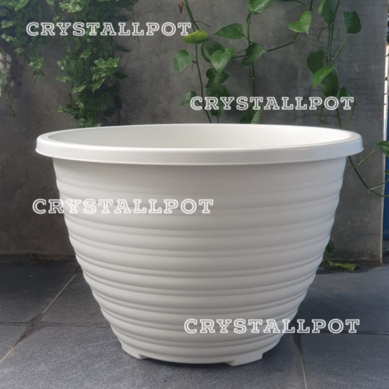 Pot bunga tanaman taiwan BEE 554 tawon putih kuping 55cm - Jumbo