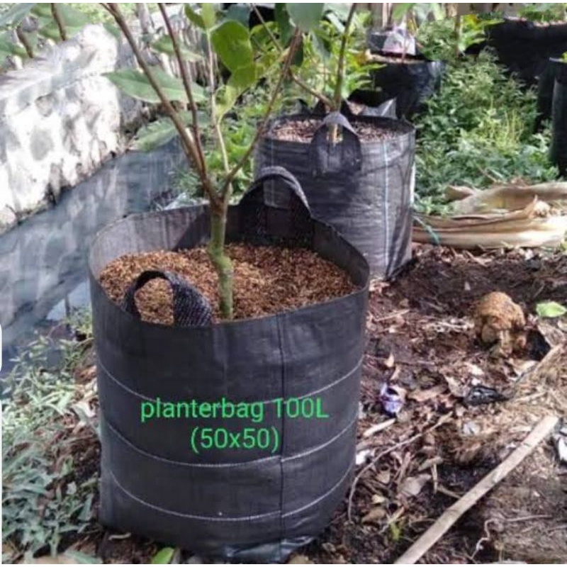 plater bag 2 handle standar