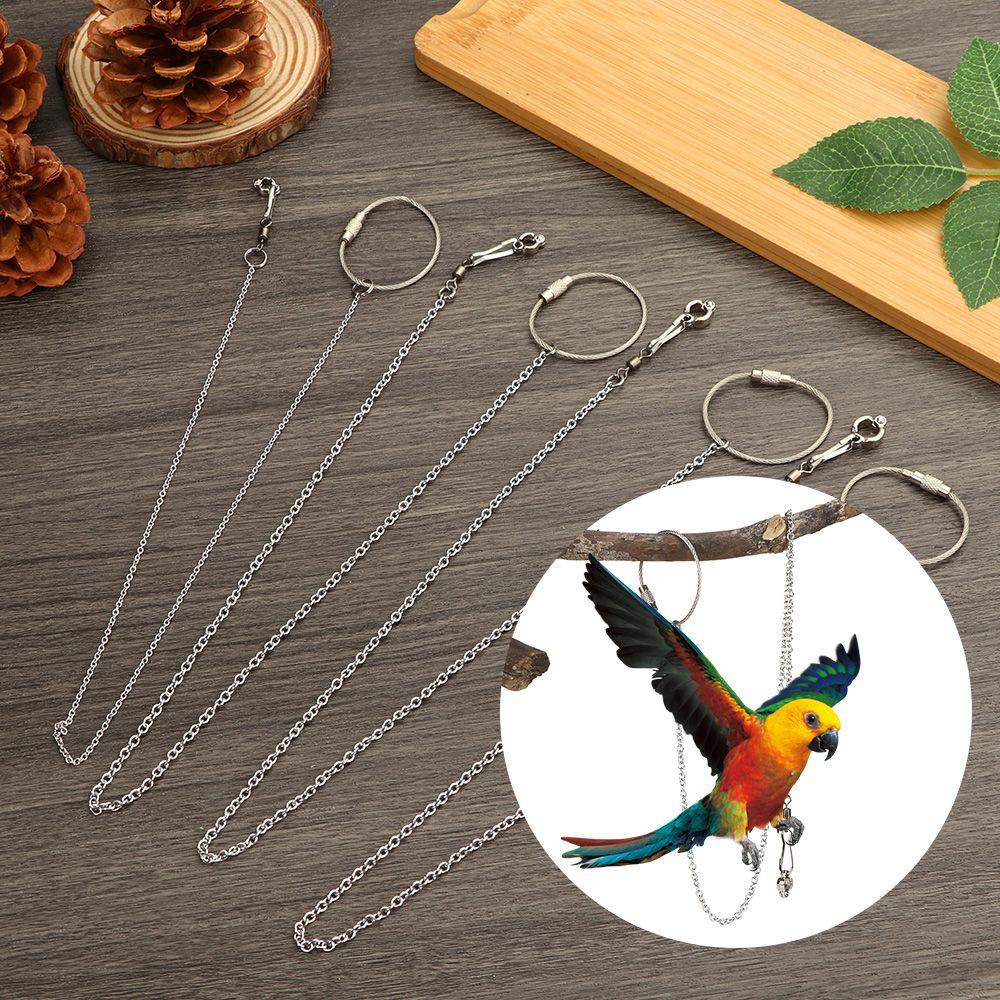 Solighter Bird's Foot Ring Anklet Bird Aksesoris Stainless Steel Pelatihan Terbang Ankle Foot Ring